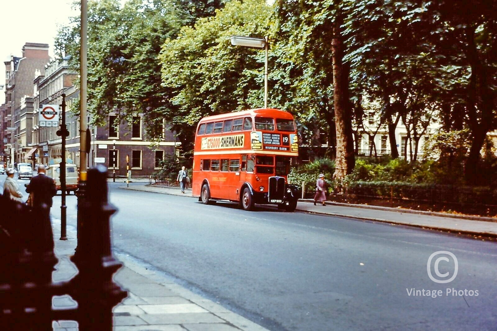 1950s Bloomsbury Square LT 19 Bus NXP900 London