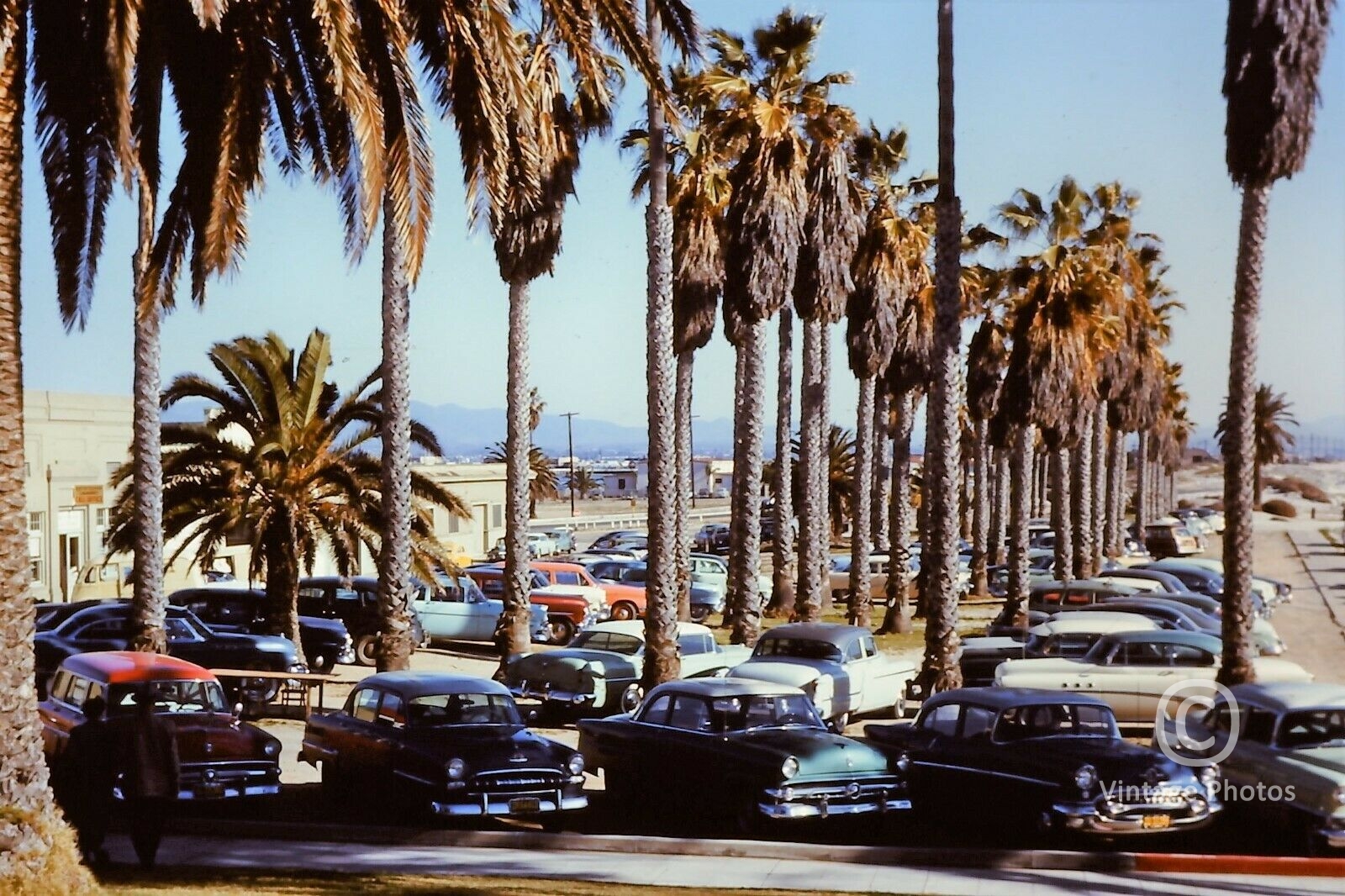 1950s American Classic Cars - parking lot